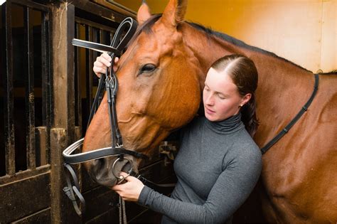 how to care for horses for beginners